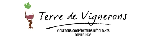 Logo Client Terre De Vignerons SRA