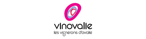 Logo Client Vinovalie SRA